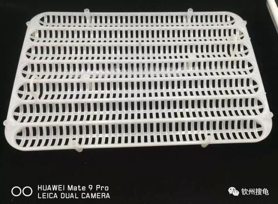 豬鼻龜蛋怎么孵化視頻：烏龜蛋怎么孵化烏龜蛋怎么孵化小烏龜)烏龜蛋孵化