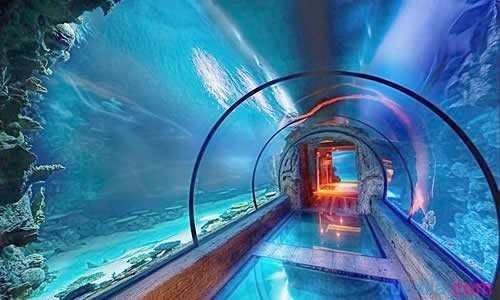 開個水族館的艱難之旅英語作文（thedifficultjourneyoffounding）