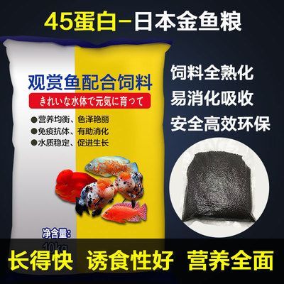 艷寶糧與其他魚糧的比較：元寶鳳凰魚食譜推薦艷寶糧增色效果對比研究元寶鳳凰魚