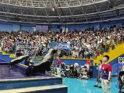 水族館館長(zhǎng)收入（水族館館長(zhǎng)的收入受多種因素影響水族館館長(zhǎng)的收入受多種影響）