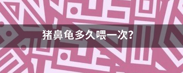 豬鼻龜多久會餓死：豬鼻龜換地方不吃食能餓死嗎