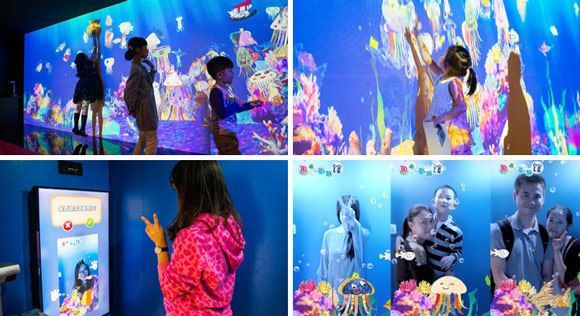 銀龍魚可以和什么魚一起養(yǎng)帶圖片的魚(銀龍魚跟什么魚一起養(yǎng)好)