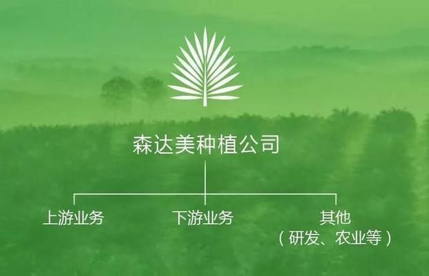 銀龍魚活餌投喂技巧，銀龍魚活餌保存方法 銀龍魚活餌投喂技巧，銀龍魚活餌保存方法 虎魚百科 第3張