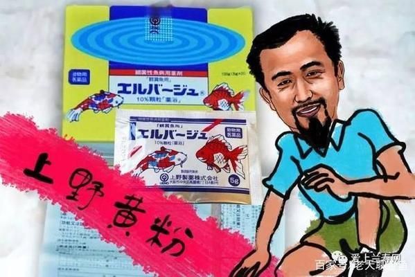 黃金貓魚爛鰓病的自然療法（黃金貓魚爛鰓病的自然療法包括使用富氯或二溴海因全池潑灑）