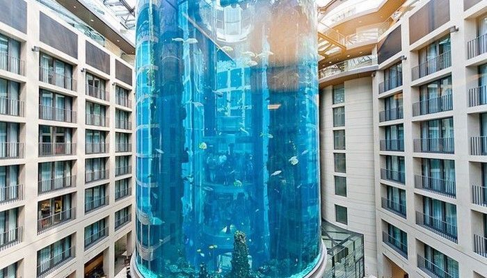 適合水族館的名字有哪些（水族館命名的市場競爭力分析）