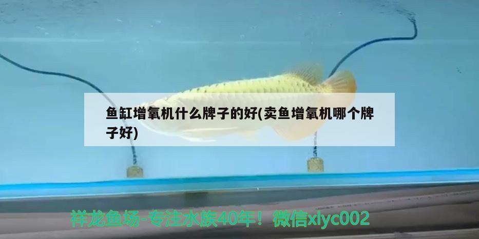 魚(yú)缸增氧機(jī)什么牌子的好(賣魚(yú)增氧機(jī)哪個(gè)牌子好)