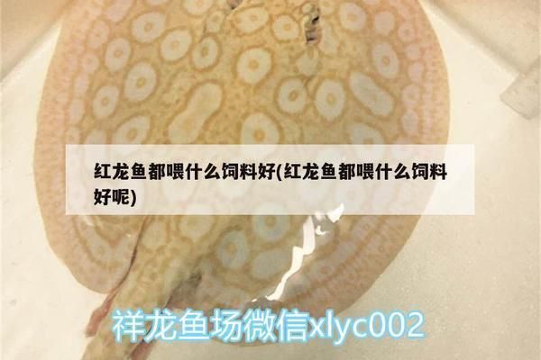鋼化玻璃魚缸壽命，鋼化玻璃魚缸使用壽命