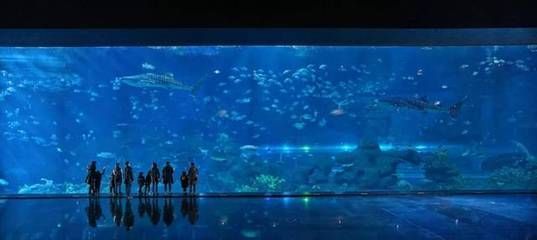 成都有哪些水族館（成都南湖夢(mèng)幻島海洋館）
