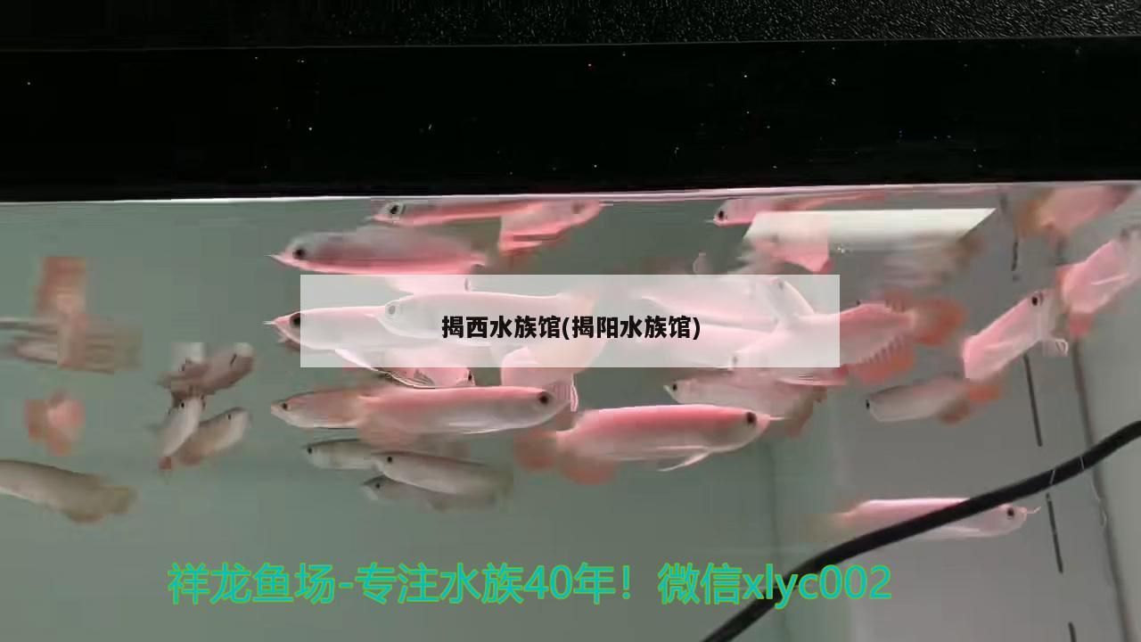 揭西水族館(揭陽水族館)