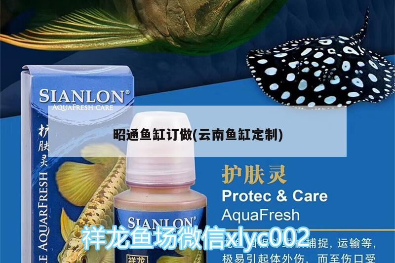 昭通魚(yú)缸訂做(云南魚(yú)缸定制)