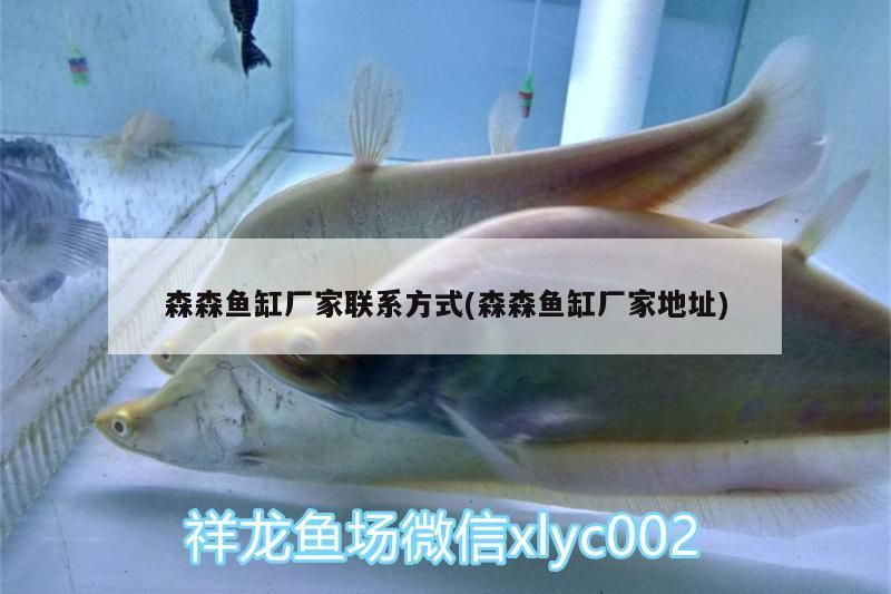 森森魚缸廠家聯系方式(森森魚缸廠家地址)