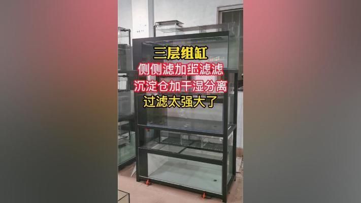 水族館組缸圖（水族館中缸組圖的設計和制作方法）