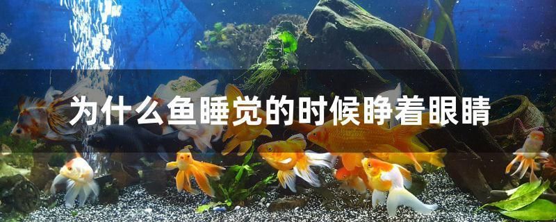 水草放到魚缸里變黃了怎么辦（剛種的水草沒幾天發黃的原因）