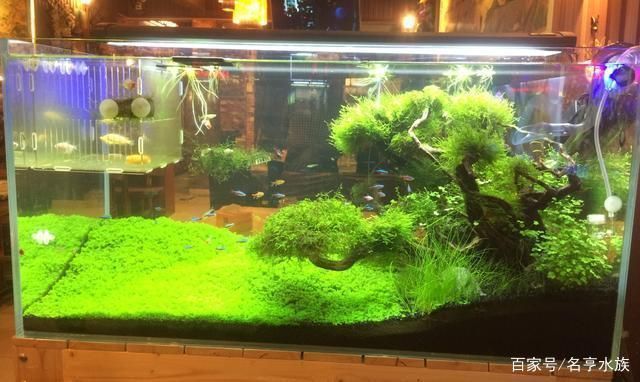 開一家水族館能掙錢嗎現在（開一家水族館是否能掙錢取決于多種因素提供個性化服務）