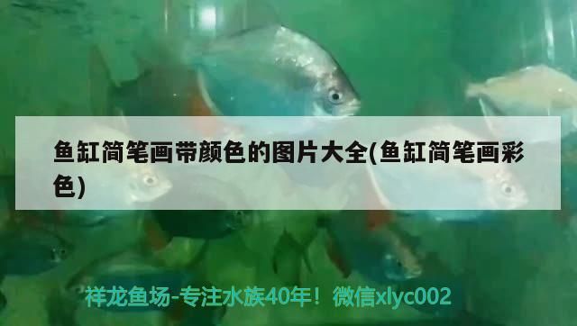 魚缸簡筆畫帶顏色的圖片大全(魚缸簡筆畫彩色) 黃金貓魚百科 第3張 魚缸簡筆畫帶顏色的圖片大全(魚缸簡筆畫彩色) 魚缸簡筆畫帶顏色的圖片大全(魚缸簡筆畫彩色) 黃金貓魚百科 第3張