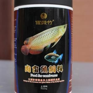 魟魚25度：魟魚對水溫和水質的要求