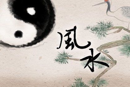 辦公室放魚缸的風水禁忌，辦公室養魚的風水原則