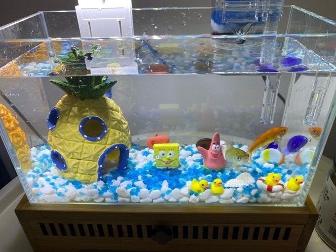玉洋軒魚缸，玉洋軒魚缸怎么樣，玉洋軒魚缸價格