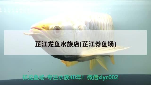 芷江龍魚水族店(芷江養魚場)