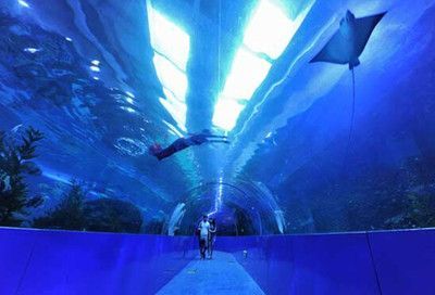 成都水族館在哪里啊（成都水族館親子游玩攻略成都水族館親子游玩攻略）