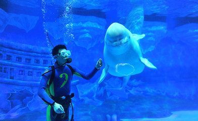 成都水族館在哪里啊（成都水族館親子游玩攻略成都水族館親子游玩攻略）