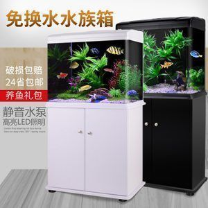 龍魚缸24小時開燈，龍魚缸可以24小時開燈嗎