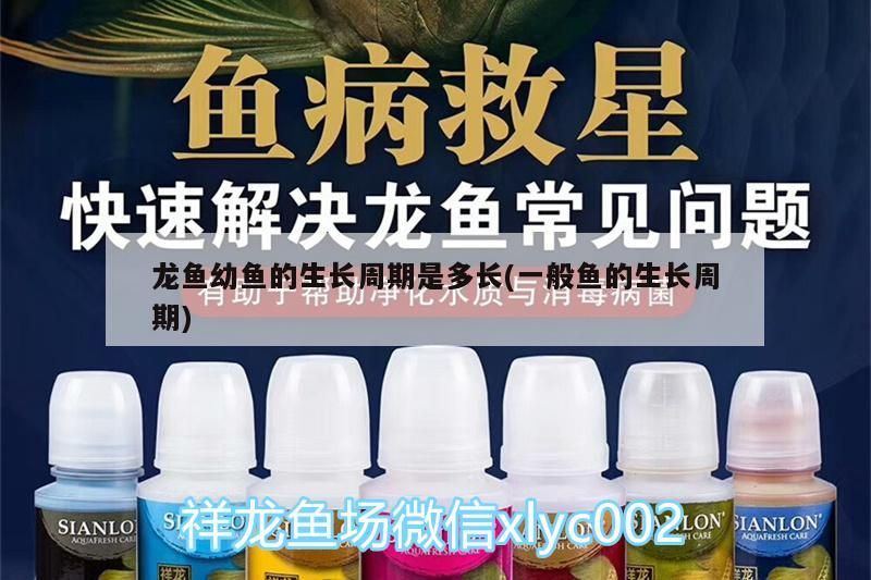 龍魚幼魚的生長周期是多長(一般魚的生長周期)