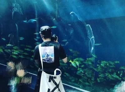 水族館配文（上海海洋水族館特色展覽）