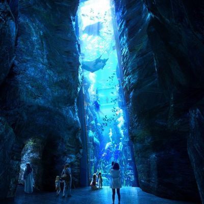 水族館VR體驗如何提升觀展（vr水族館vr體驗如何提升觀展體驗）