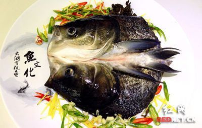 大湖魚是什么魚：大湖魚是一類生活在北美大型湖泊中的魚類，大湖魚的營養價值