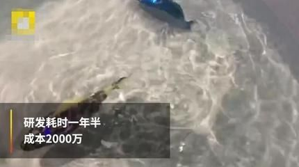 水族館工作需要什么證（水族師資格認證考試內容,潛水證培訓課程介紹）