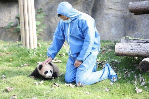 水族館工作需要什么證（水族師資格認證考試內容,潛水證培訓課程介紹）