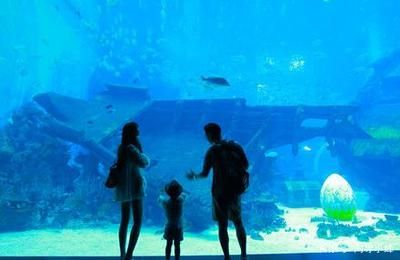 水族館工作需要什么證（水族師資格認證考試內容,潛水證培訓課程介紹）