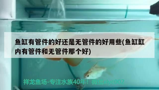 魚缸有管件的好還是無管件的好用些(魚缸缸內有管件和無管件那個好)