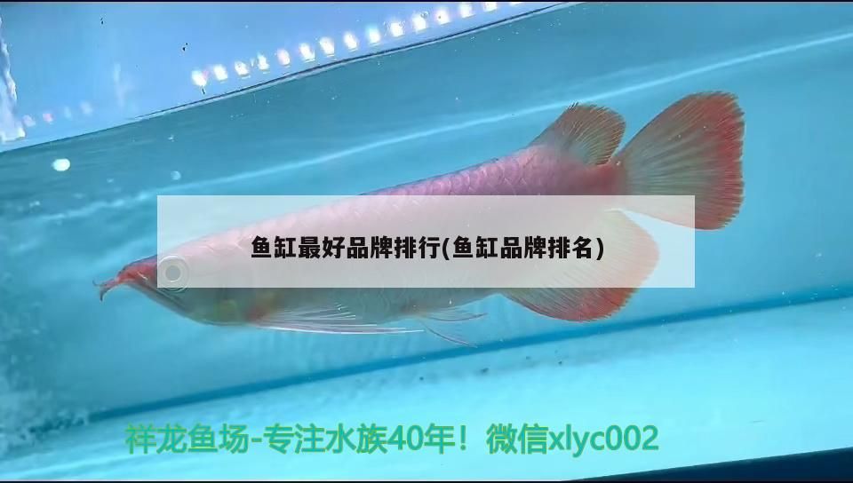 魚缸最好品牌排行(魚缸品牌排名)