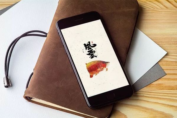 龍魚高清手機壁紙，龍魚高清手機壁紙制作