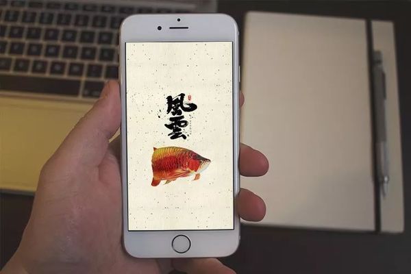 龍魚高清手機壁紙，龍魚高清手機壁紙制作