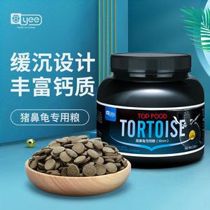 豬鼻龜養多久成年可以吃飼料