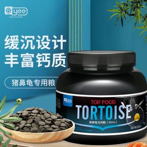 豬鼻龜養多久成年可以吃飼料