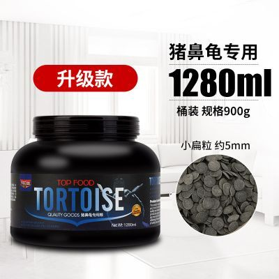 豬鼻龜養多久成年可以吃飼料