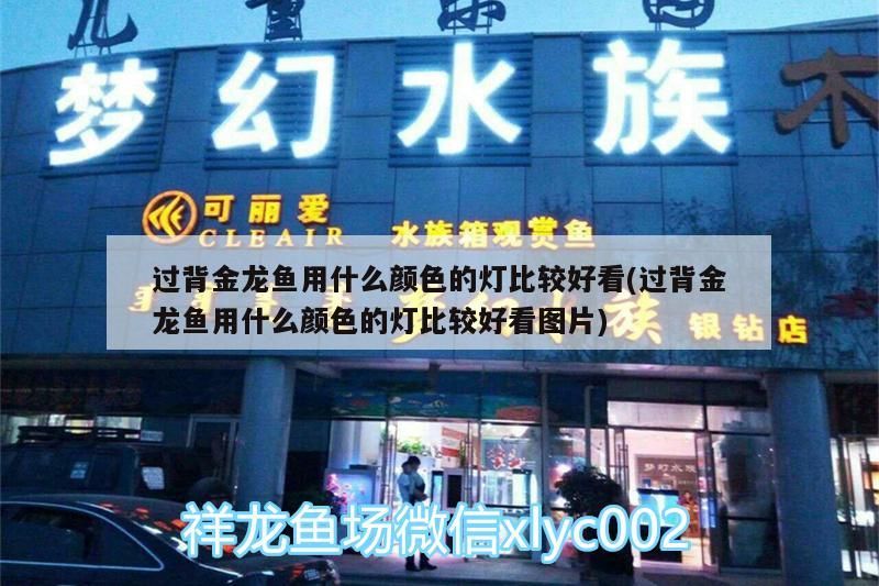 過背金龍魚用什么顏色的燈比較好看(過背金龍魚用什么顏色的燈比較好看圖片)