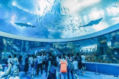 水族館取名字怎么取（水族館名字怎么取？）