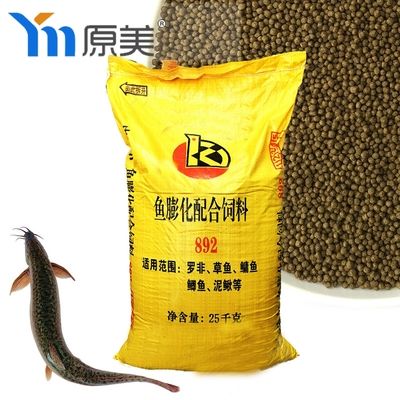 魚病的識(shí)別與防治，保障水產(chǎn)健康的關(guān)鍵措施，魚病識(shí)別與防治，確保水產(chǎn)健康的核心策略