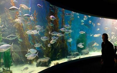 水族館利潤怎么樣啊知乎：成本控制和經營管理