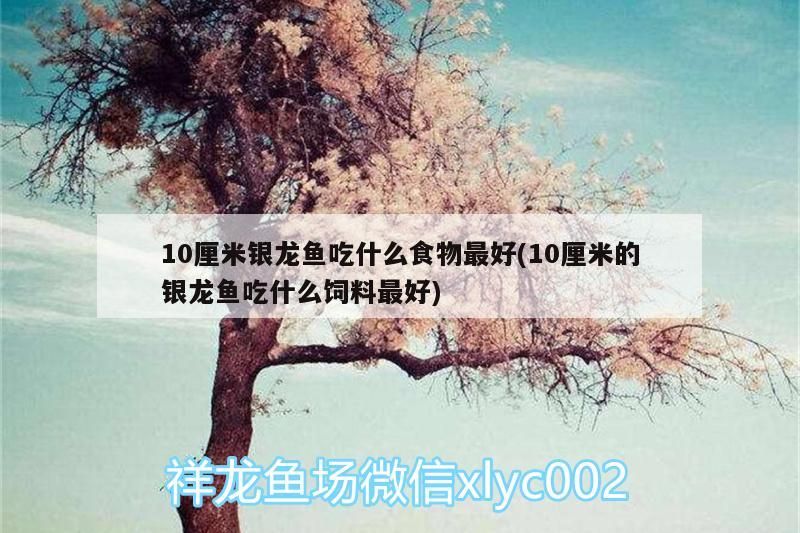 祥龍水族館加盟賺錢（祥龍水族館加盟優勢）