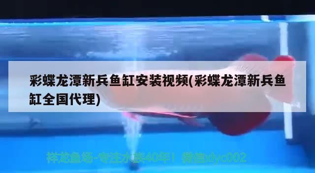 彩蝶龍?zhí)缎卤~缸安裝視頻(彩蝶龍?zhí)缎卤~缸全國(guó)代理)