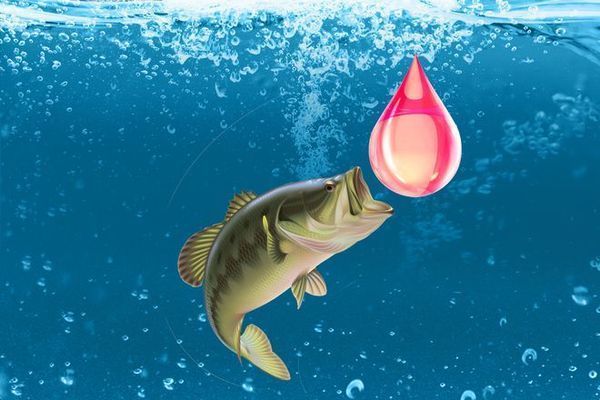 火箭魚水溫波動影響研究，水溫波動對火箭魚的影響