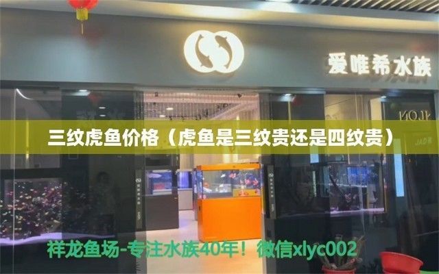 四紋虎魚飼料品牌對(duì)比，四紋虎魚飼料怎么選