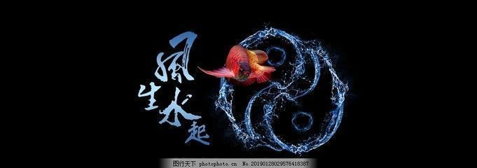 紅龍魚缸用什么背景好看又好養(yǎng),紅龍魚缸背景選擇技巧紅龍魚缸底色搭配技巧 魚缸百科 第5張 紅龍魚缸用什么背景好看又好養(yǎng),紅龍魚缸背景選擇技巧紅龍魚缸底色搭配技巧 紅龍魚缸用什么背景好看又好養(yǎng),紅龍魚缸背景選擇技巧紅龍魚缸底色搭配技巧 魚缸百科 第5張