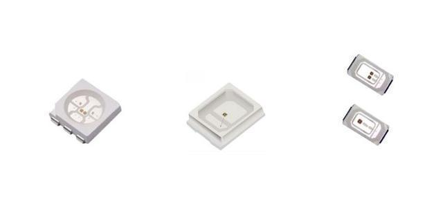 銀龍魚吃金魚視頻(銀龍魚吃金魚視頻大全)